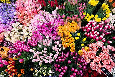 巫师开发商成立二十周年 邀请玩家去波兰吃喝玩乐